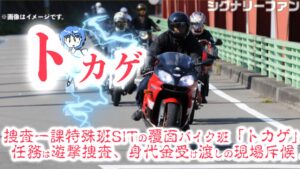 tokage_2025