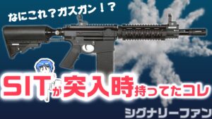 pepper_42342